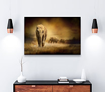 obraz slony v afrike elephants